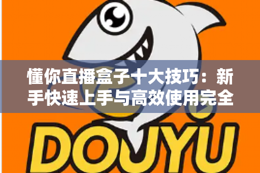 懂你直播盒子十大技巧：新手快速上手与高效使用完全指南