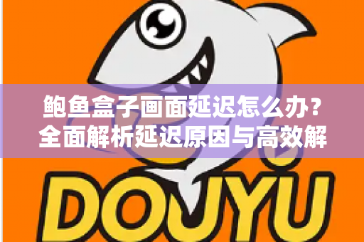 鲍鱼盒子画面延迟怎么办？全面解析延迟原因与高效解决方案指南