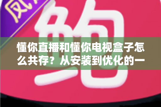 懂你直播和懂你电视盒子怎么共存？从安装到优化的一站式实用指南