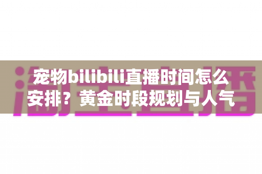 宠物bilibili直播时间怎么安排？黄金时段规划与人气提升全攻略，助你打造高人气萌宠直播间