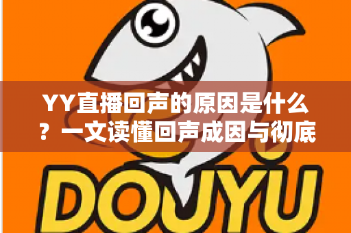 YY直播回声的原因是什么?一文读懂回声成因与彻底解决方法 YY直播回声的原因是什么?一文读懂回声成因与彻底解决方法