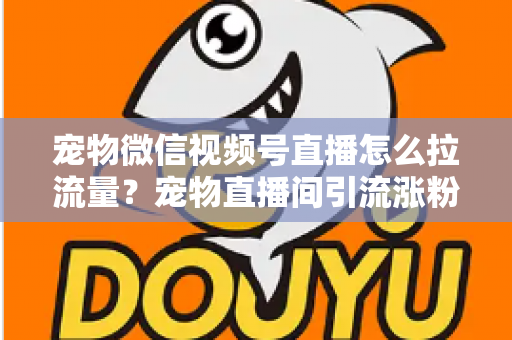 宠物微信视频号直播怎么拉流量?宠物直播间引流涨粉与运营变现全攻略 宠物微信视频号直播怎么拉流量?宠物直播间引流涨粉与运营变现全攻略