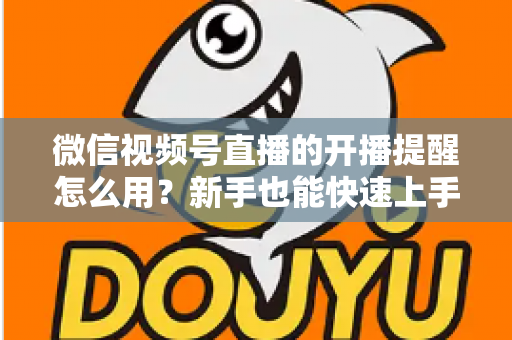 微信视频号直播的开播提醒怎么用?新手也能快速上手的完整操作指南与涨粉秘籍 微信视频号直播的开播提醒怎么用?新手也能快速上手的完整操作指南与涨粉秘籍