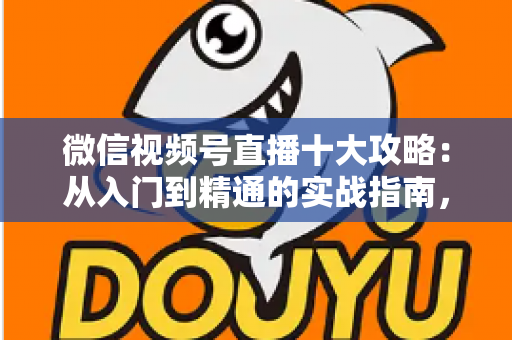 微信视频号直播十大攻略：从入门到精通的实战指南，助你快速提升直播间人气与转化