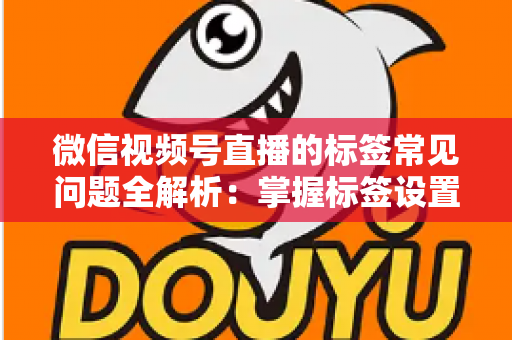 微信视频号直播的标签常见问题全解析：掌握标签设置技巧，让直播间流量翻倍