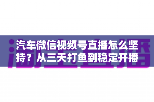 汽车微信视频号直播怎么坚持？从三天打鱼到稳定开播的实战指南