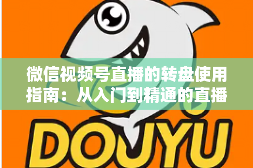 微信视频号直播的转盘使用指南：从入门到精通的直播间互动涨粉实战手册