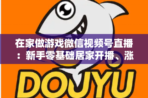 在家做游戏微信视频号直播：新手零基础居家开播、涨粉与变现全攻略