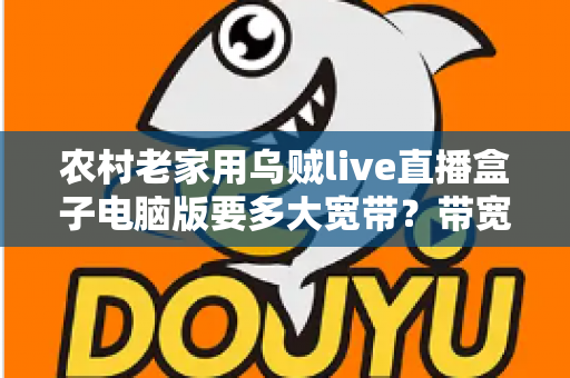 农村老家用乌贼live直播盒子电脑版要多大宽带?带宽选择全攻略与实用避坑指南 农村老家用乌贼live直播盒子电脑版要多大宽带?带宽选择全攻略与实用避坑指南