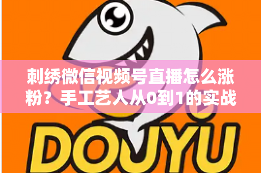 刺绣微信视频号直播怎么涨粉?手工艺人从0到1的实战涨粉全攻略 刺绣微信视频号直播怎么涨粉?手工艺人从0到1的实战涨粉全攻略