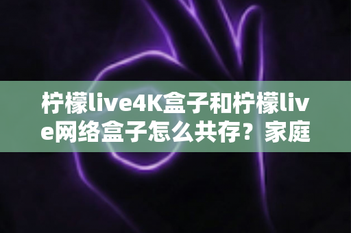 柠檬live4K盒子和柠檬live网络盒子怎么共存？家庭双盒子共用全攻略：分区部署、网络优化与常见问题一次讲清