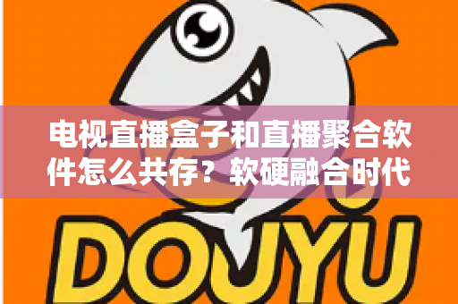 电视直播盒子和直播聚合软件怎么共存？软硬融合时代的大屏观看生态全解析