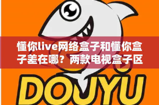 懂你live网络盒子和懂你盒子差在哪？两款电视盒子区别全解析与选购指南
